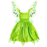Tinkerbell Fairy Princess Dress