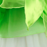 Tinkerbell Fairy Princess Dress